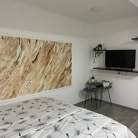 Stevanovic Appartement Despotovac